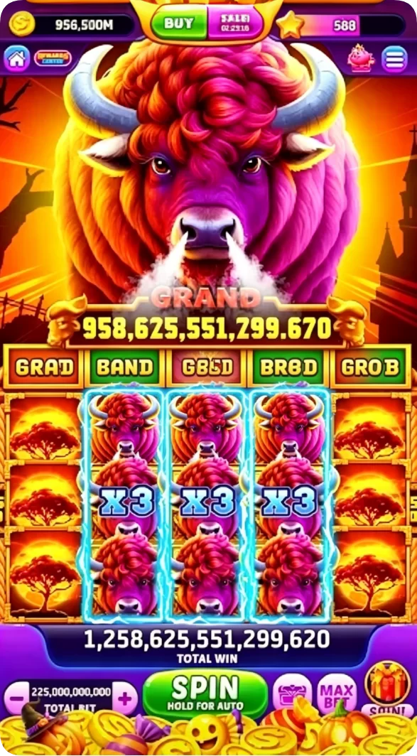 pgking Screenshot